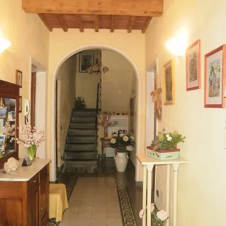 Angelini Dal 1911 2*